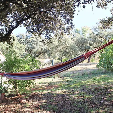 El Membrillo By Sierra Viva